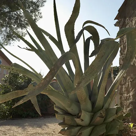 Villa Grand Mas Provencal, A 200m, Parking Prive Ferme, Piscine Chauffee *